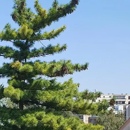 Ada Mall-beograd 2 Bedroom Appartement