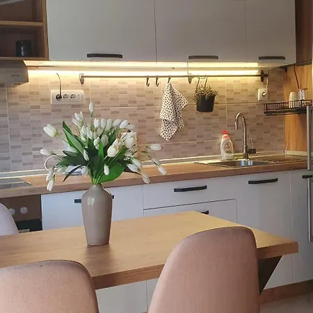 Ada Mall-beograd 2 Bedroom 公寓